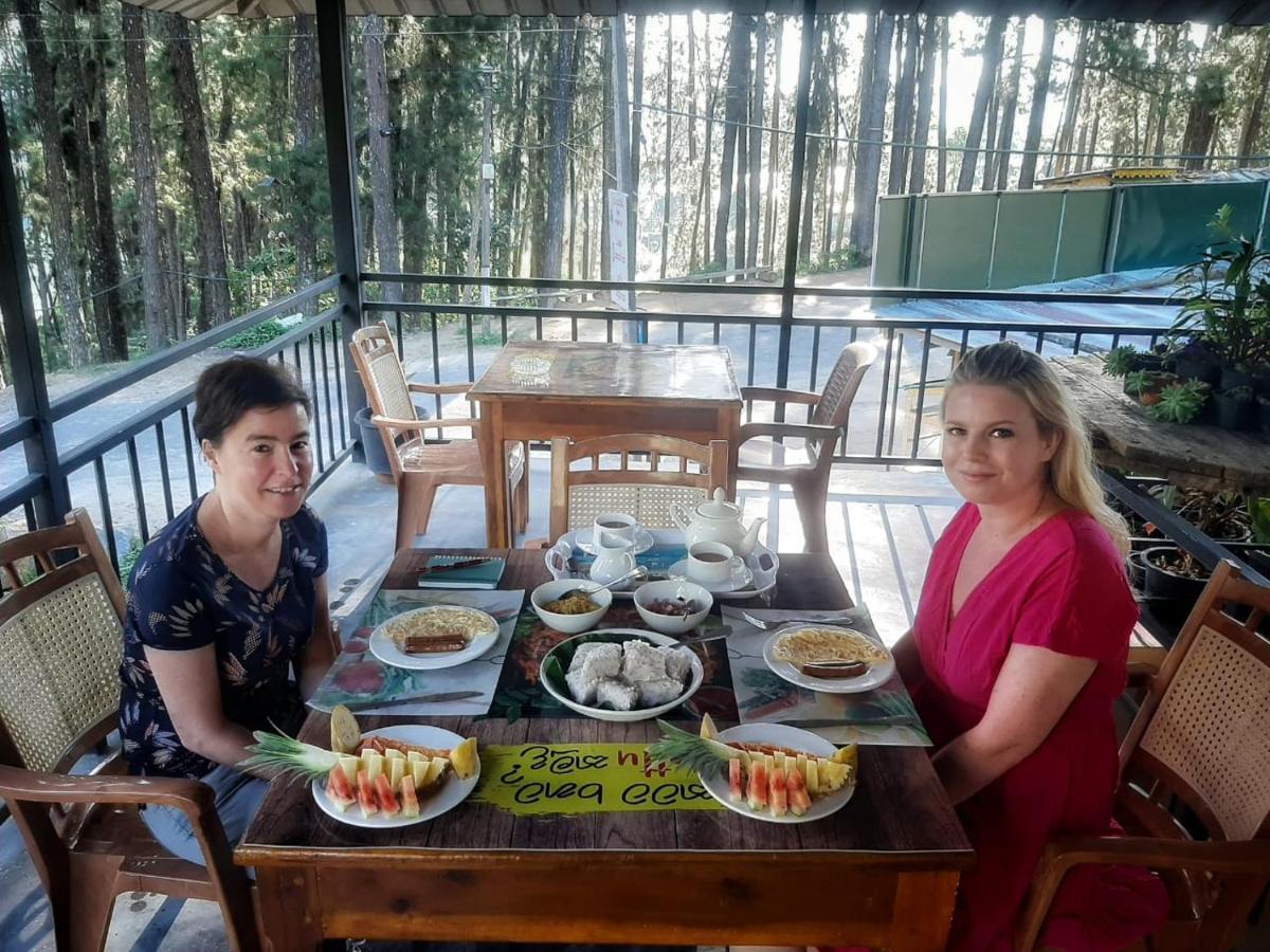 Pine Trees Homestay Nallathanniya Extérieur photo