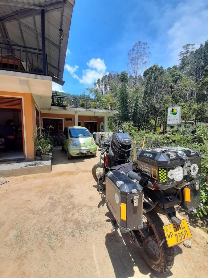 Pine Trees Homestay Nallathanniya Extérieur photo