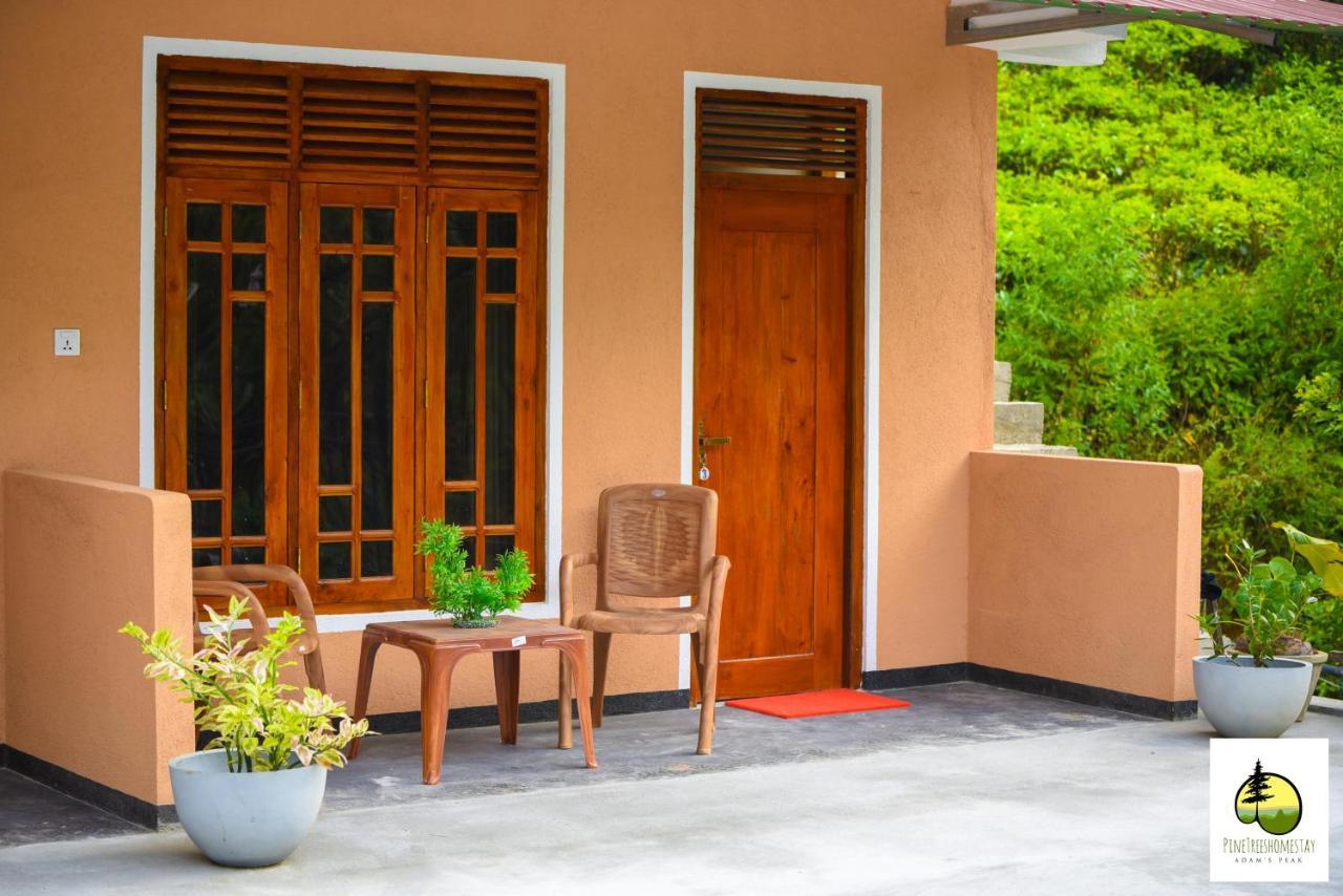 Pine Trees Homestay Nallathanniya Extérieur photo