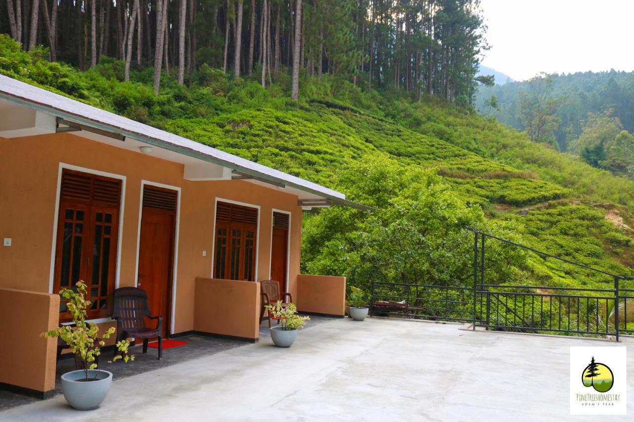 Pine Trees Homestay Nallathanniya Extérieur photo