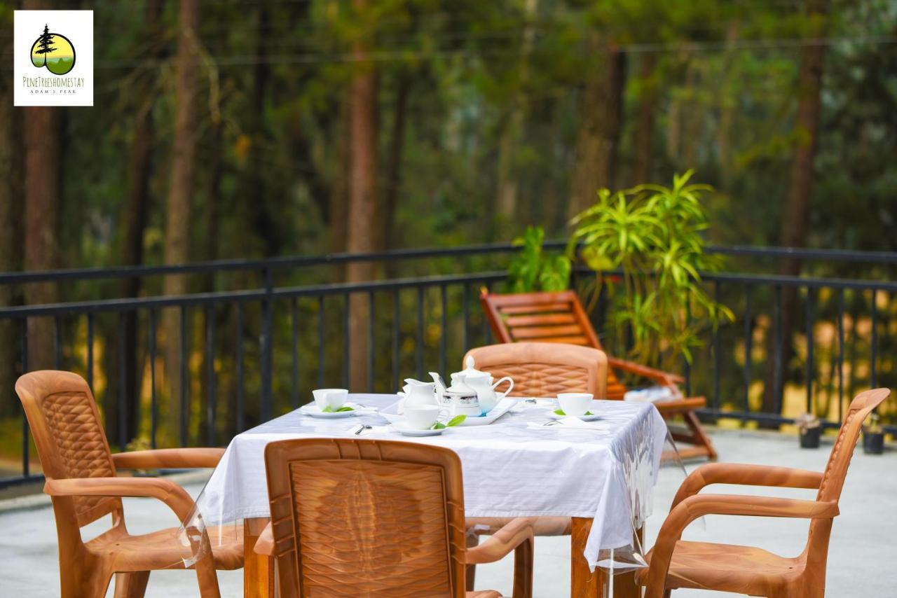 Pine Trees Homestay Nallathanniya Extérieur photo