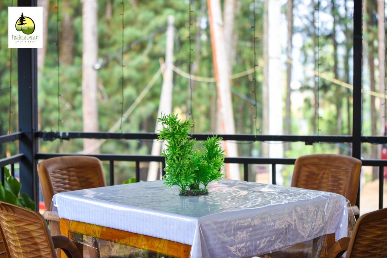 Pine Trees Homestay Nallathanniya Extérieur photo