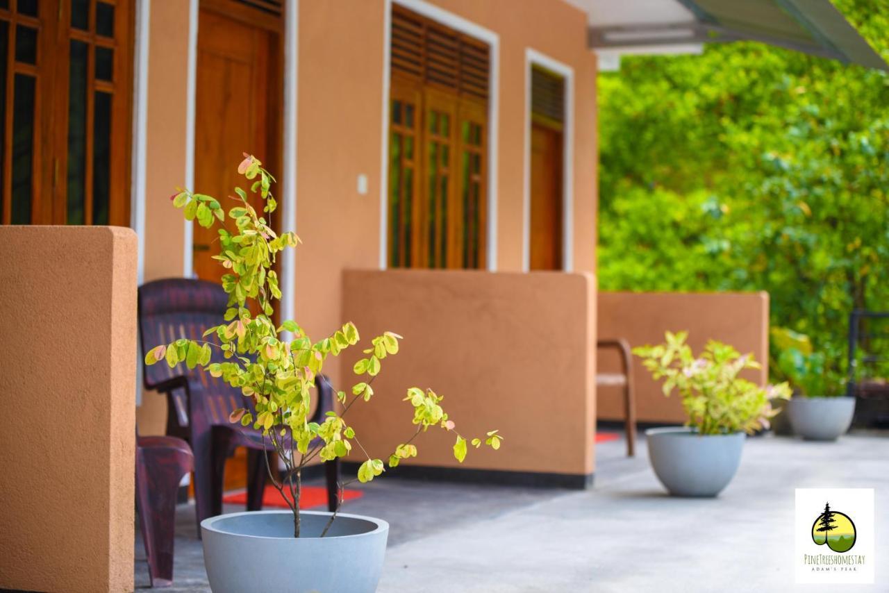 Pine Trees Homestay Nallathanniya Extérieur photo
