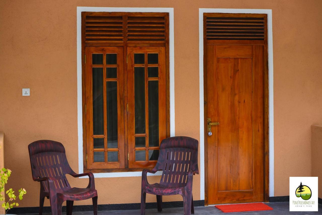 Pine Trees Homestay Nallathanniya Extérieur photo