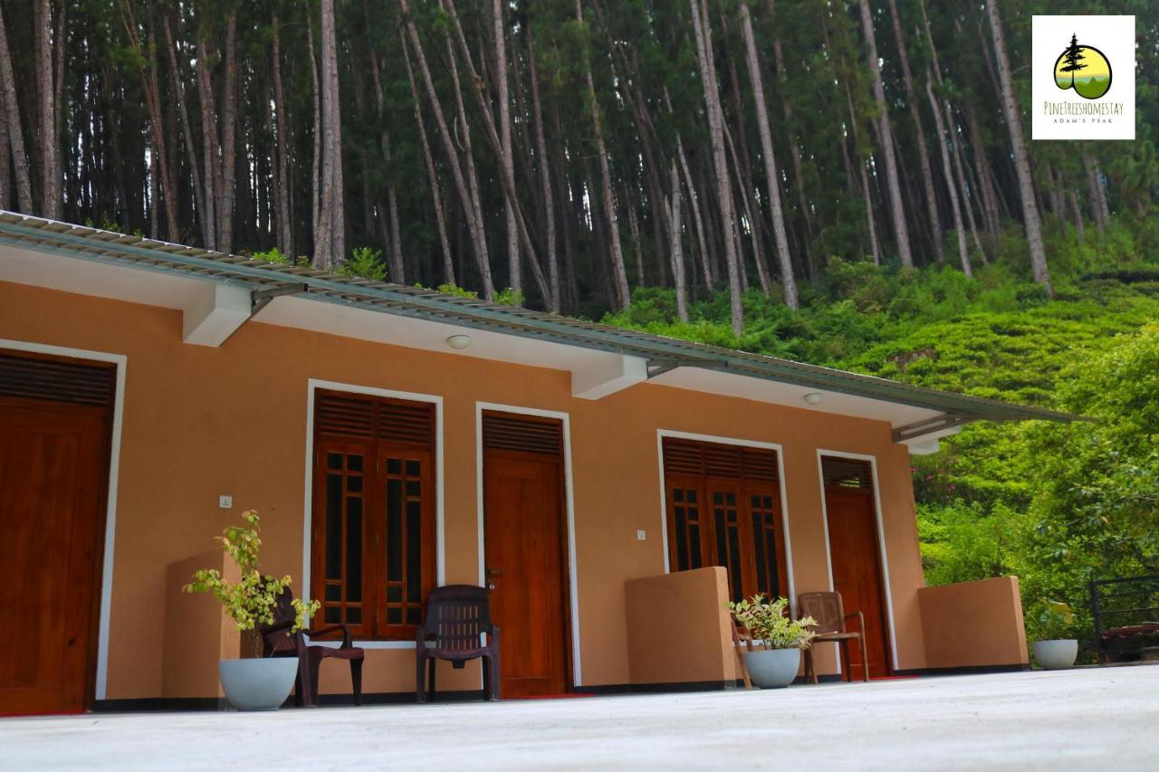 Pine Trees Homestay Nallathanniya Extérieur photo
