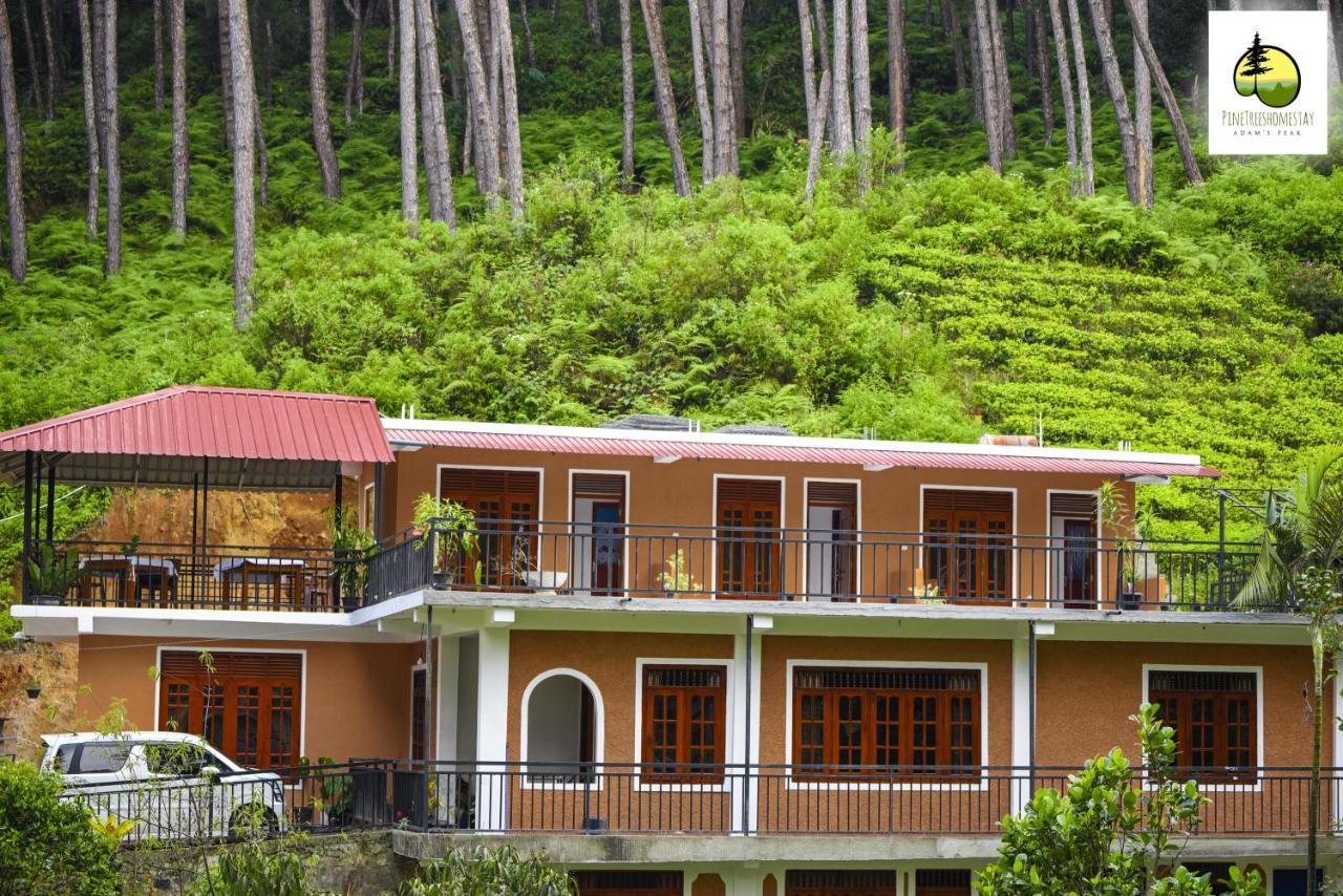 Pine Trees Homestay Nallathanniya Extérieur photo